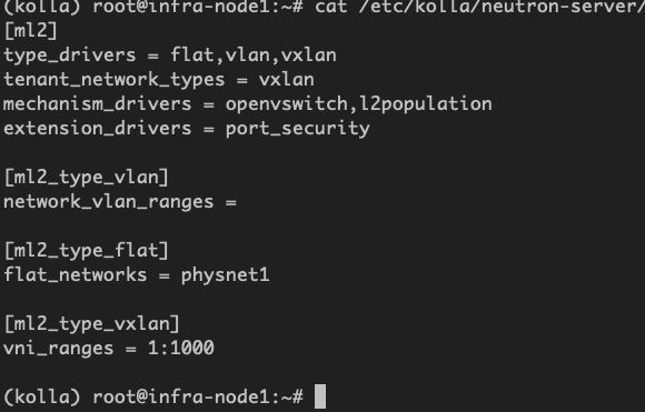 OpenStack Neturn ml2 conf